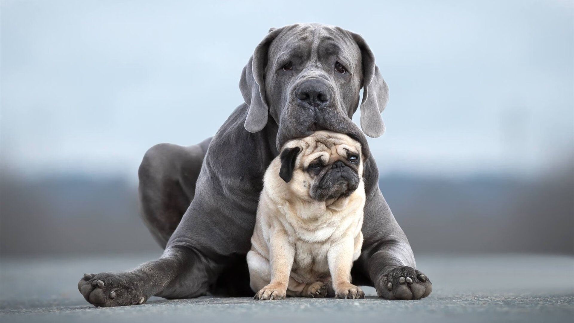 NBA球员赛季表现趋势研究,nba球员赛季表现趋势研究分析