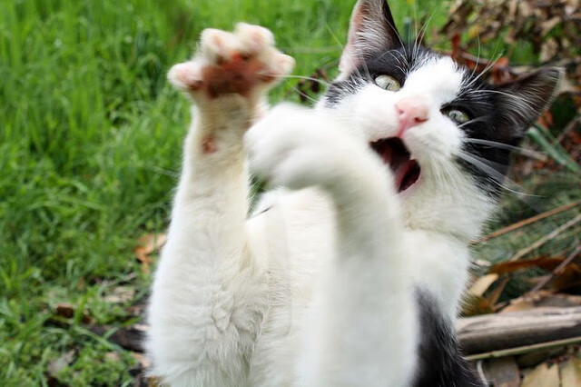 NBA球员赛季表现趋势研究,nba球员赛季表现趋势研究分析