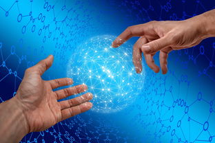 乐鱼电竞· (中国)官方网站-德国仰泳项目技术稳定提升，德国仰泳项目技术稳定提升方案