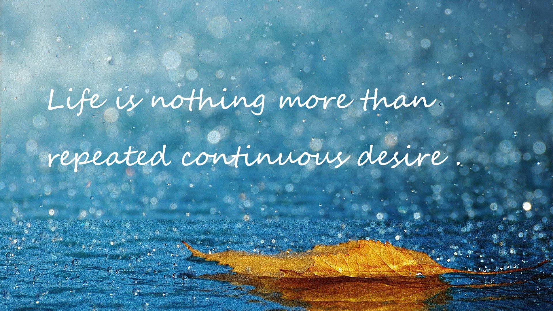 乐鱼体育(中国)官方网站-篮板王争夺引发球迷热烈讨论，篮板王2021