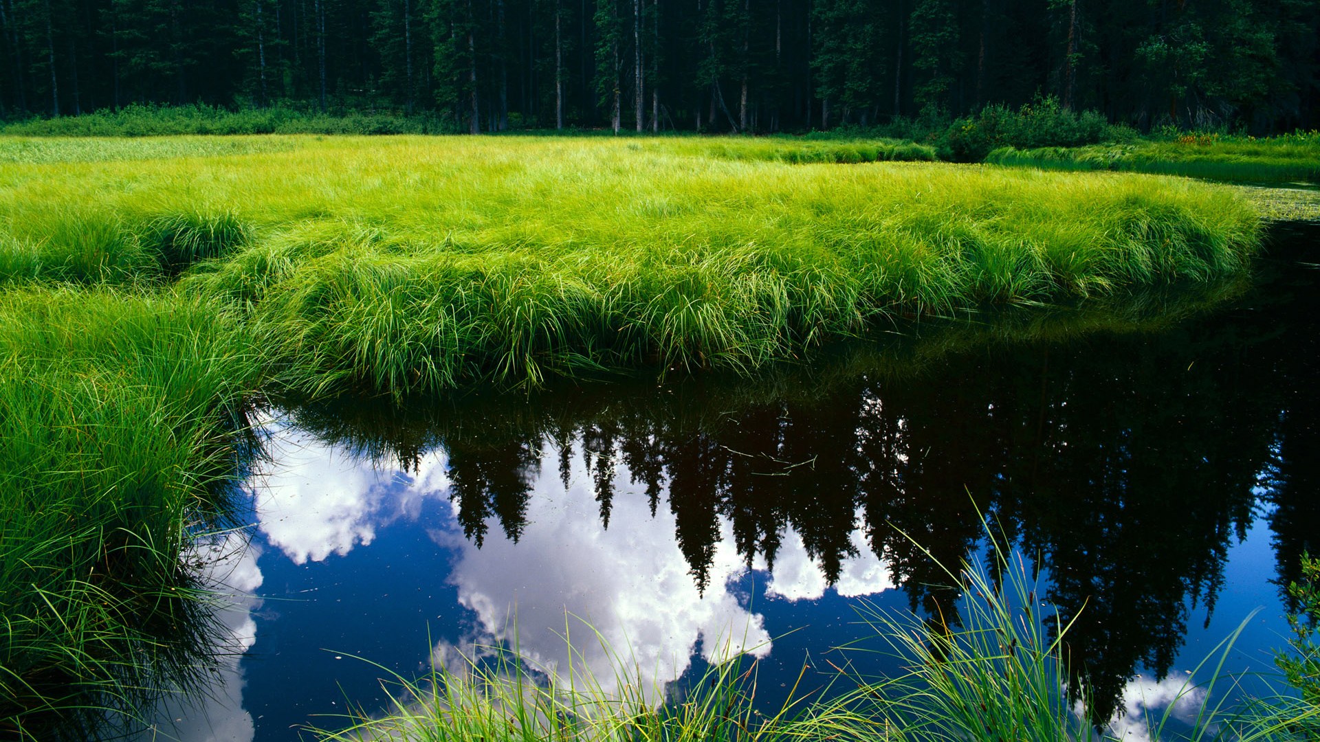 中国足球俱乐部加强青训梯队建设,中国足球青训体系是什么