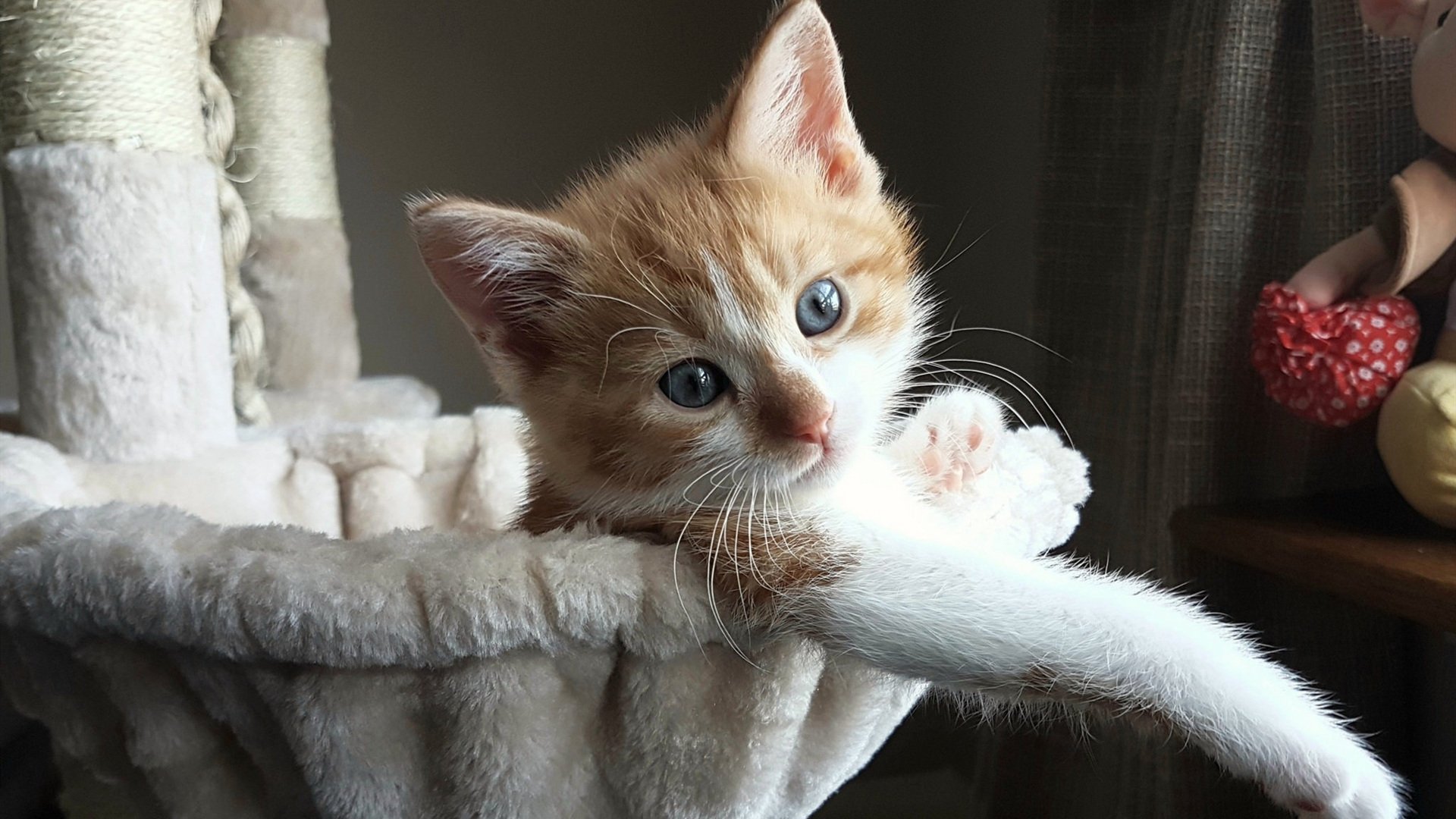 中国足球女足高水平比赛体验与心理承受力,中国女足的水平