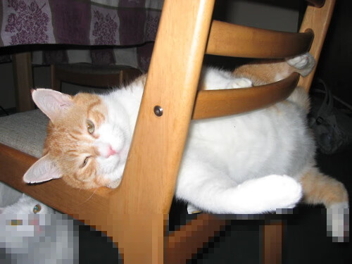 LeyuSports-中超联赛球队战绩分析与评价体系，中超战绩表