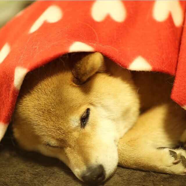 乐鱼vip-体育新闻中心记录本地体育成长故事，体育新闻分享