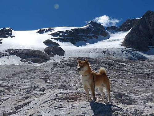 博卡强调控制节奏，提升传控效率，博卡官方网站